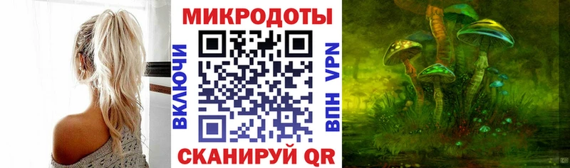 Псилоцибиновые грибы мицелий  где продают наркотики  Сатка 